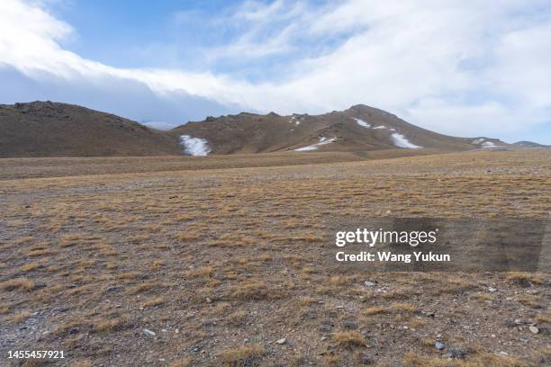 the open and flat gobi desert - w