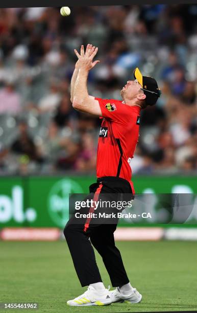 Tom Rogers of the Renegades catches Colin De Grandhomme of the Strikers during the Men's Big Bash League match between the Adelaide Strikers and the...