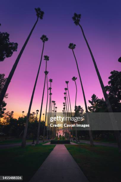 southern california gradient sky at sunrise - glendale california stock pictures, royalty-free photos & images