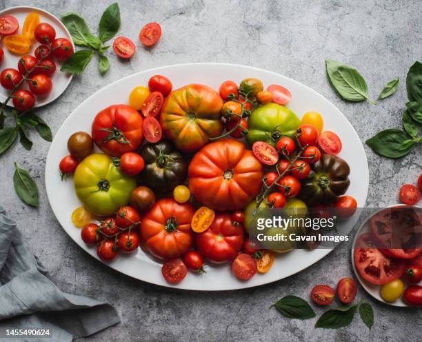 top view of platter of colorful heirloom and cherry tomatoes - tomate fotografías e imágenes de stock
