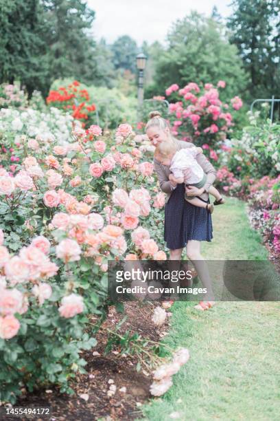 blonde, caucasian mother brings toddler to smell roses - roseto foto e immagini stock