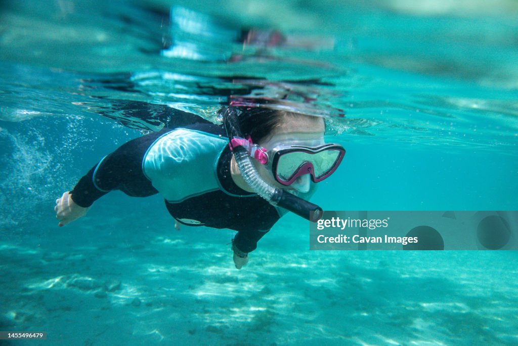 Young man snorkling underwater with manatees in Three Sisters Spring