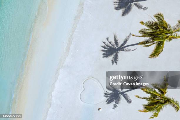 aerial view of palm trees on tropical beach - thulusdhoo stock pictures, royalty-free photos & images