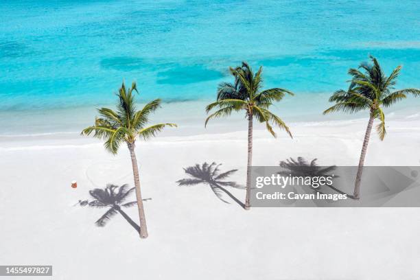 aerial view of palm trees on tropical beach - thulusdhoo stock pictures, royalty-free photos & images