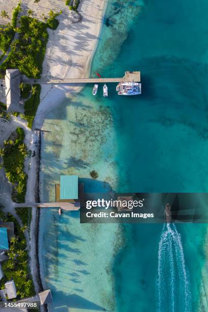 aerial view of tropical island coastline - thulusdhoo stock pictures, royalty-free photos & images