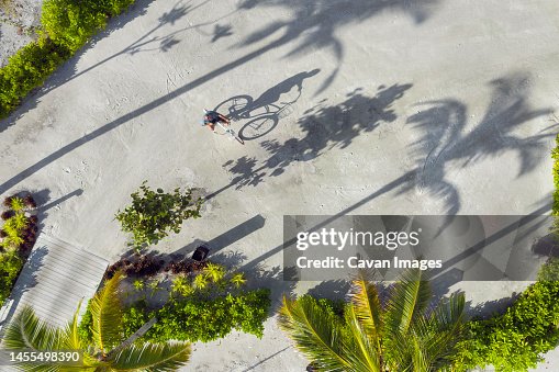 Aerial view of man with bicycle under palm trees Aerial view of man with bicycle under palm trees