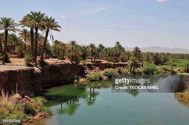 draa valley - zagora imagens e fotografias de stock