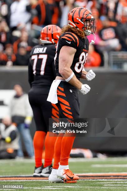 Hayden Hurst of the Cincinnati Bengals reacts after gaining a first down during the game against the Baltimore Ravens at Paycor Stadium on January 8,...