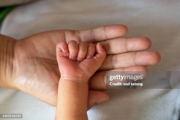 mother uses her hand to hold her baby's tiny hand to make him feeling her love, warm and secure. newborn - extreme close up baby stock pictures, royalty-free photos & images