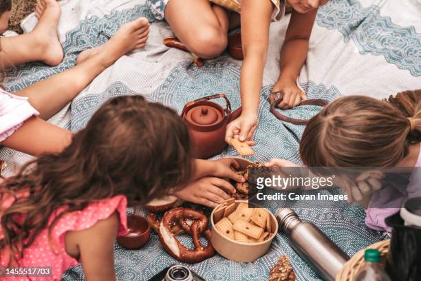 children make a picnic in nature outdoor recreation - season 13 stock-fotos und bilder