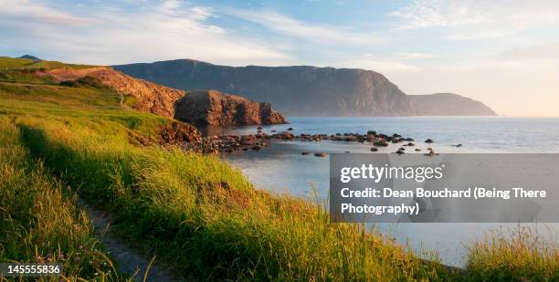 a newfoundland evening - terra nova e labrador imagens e fotografias de stock