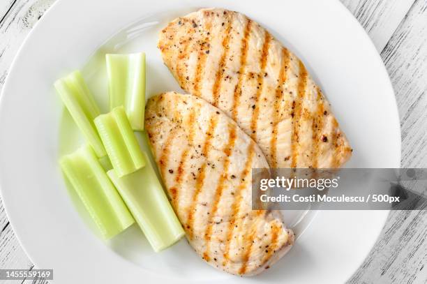 directly above shot of food in plate,romania - pollo a la plancha fotografías e imágenes de stock