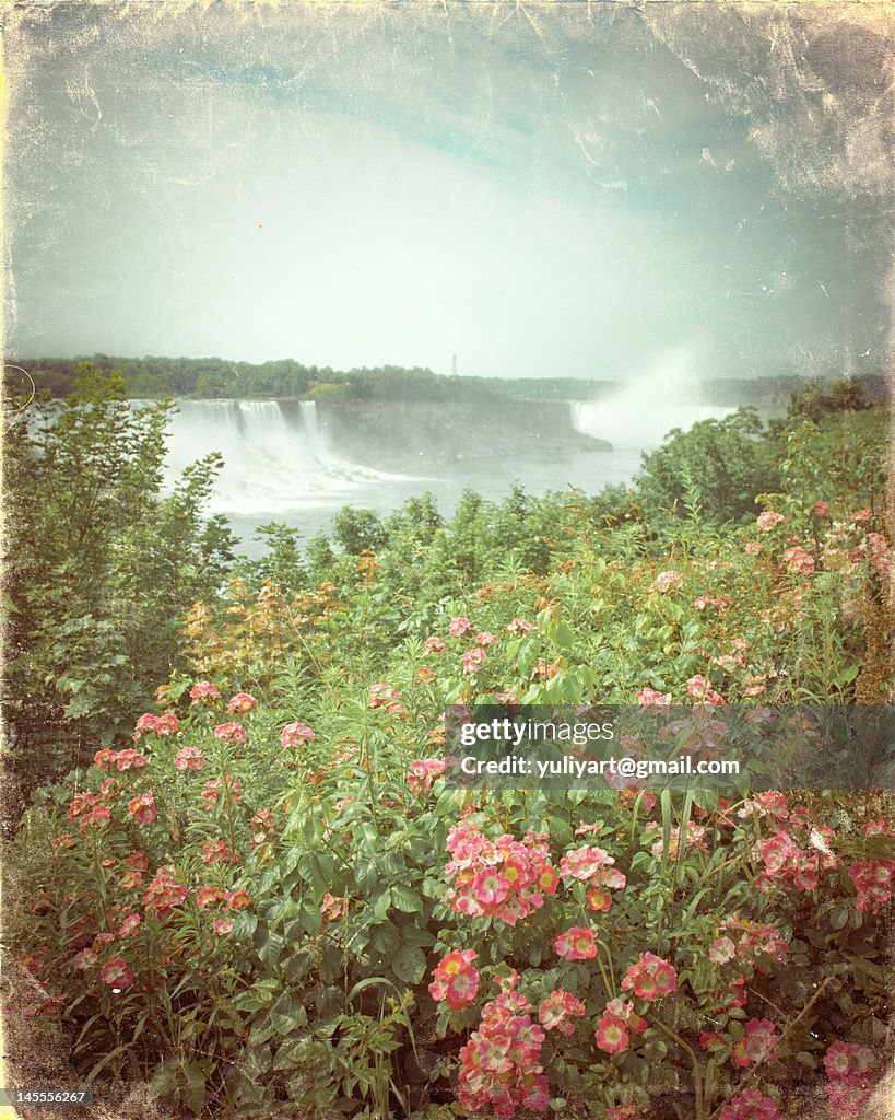 Niagara Spring