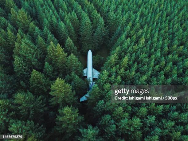 aerial view of a forest - knowledge is power fotografías e imágenes de stock