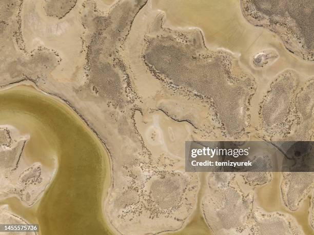 aerial view of natural shapes and textures - lake bed 個照片及圖片檔