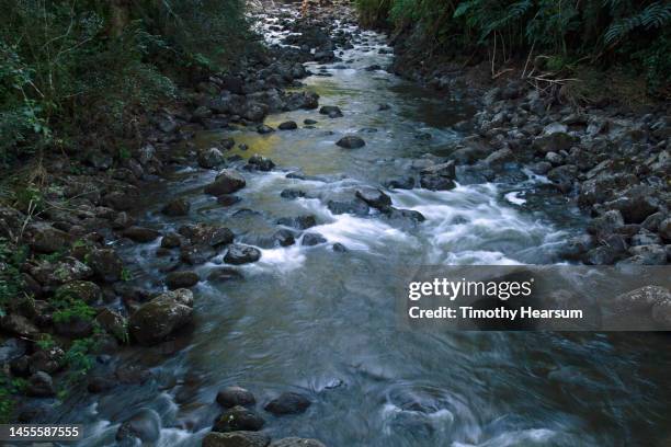 water flowing through a rocky stream bed at akaka falls state park. - akaka state falls park stock pictures, royalty-free photos & images