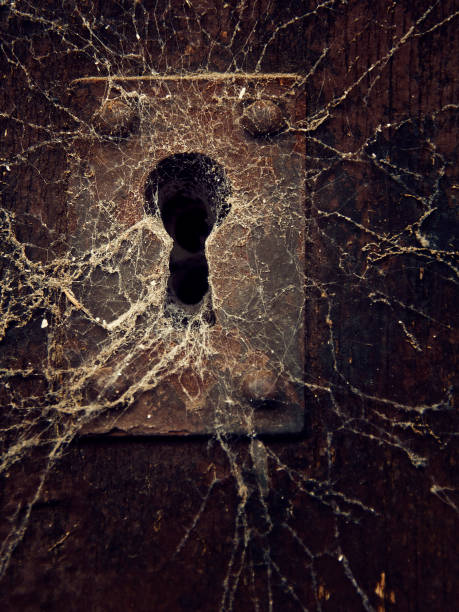 Keyhole Spider 32,486 Old Keyhole Stock Photos, High-Res Pictures, and Images - Getty ...