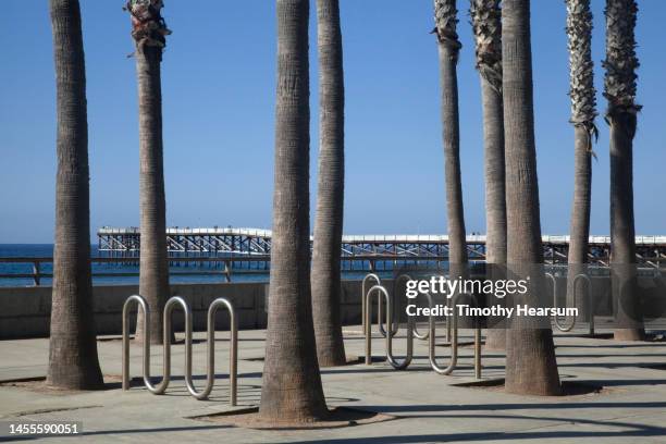 palm tree trunks and bicycle racks with crystal pier, pacific beach, ca in the background. - san diego pacific beach stock-fotos und bilder