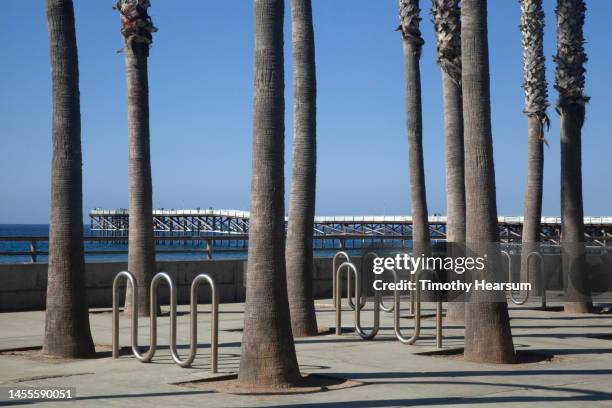 palm tree trunks and bicycle racks with crystal pier, pacific beach, ca in the background. - san diego pacific beach stock pictures, royalty-free photos & images