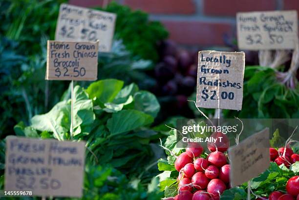 vegetables for sale at market - hobart tasmania stock pictures, royalty-free photos & images