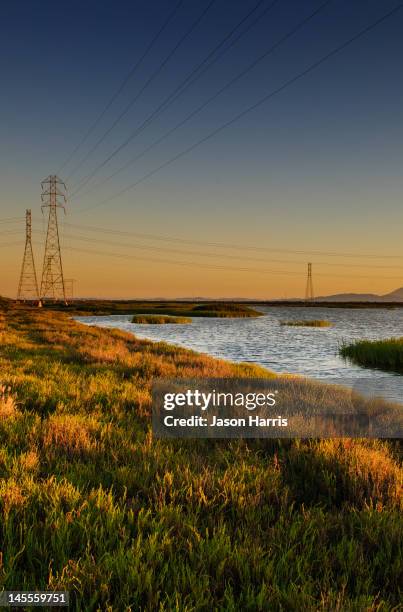 san pablo bay marsh at sunset - san pablo bay stock pictures, royalty-free photos & images