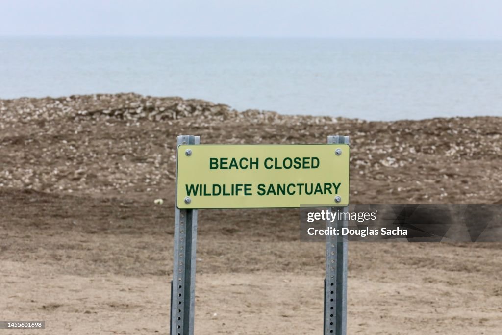 Wildlife sanctuary sign on a beach