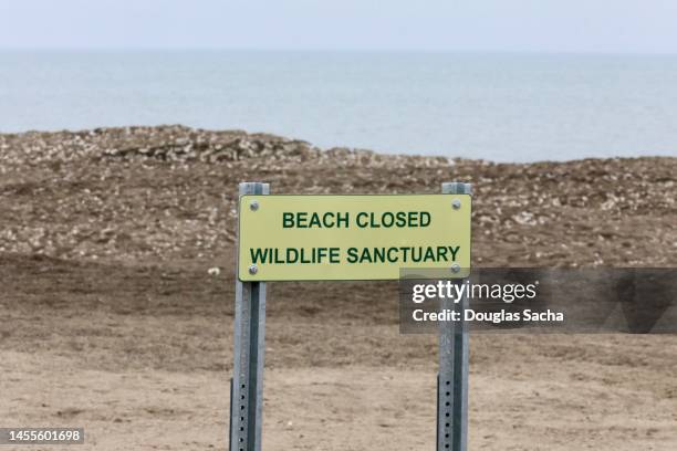 wildlife sanctuary sign on a beach - 野生動物保護區 個照片及圖片檔