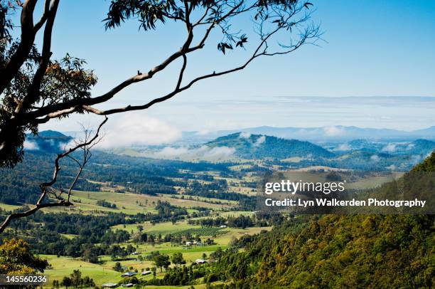 looking down valley - hunter valley stock-fotos und bilder