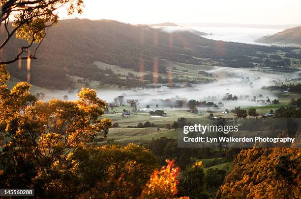 hunter valley at sunrise - new south wales landscape stock pictures, royalty-free photos & images