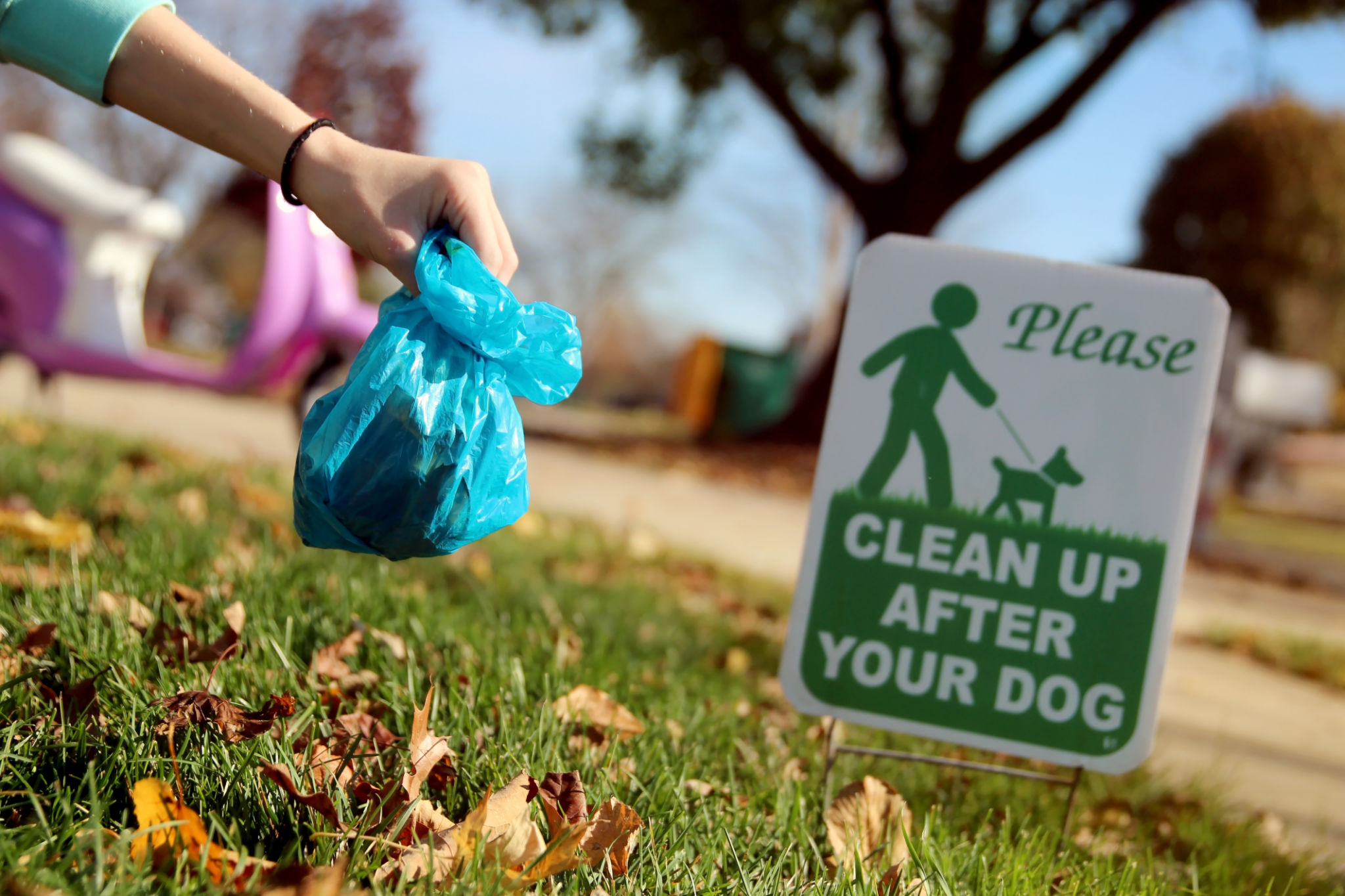 dog waste cleanup cost
