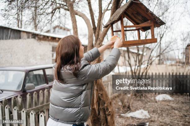 woman putting seeds in bird feeder - birdhouse stock pictures, royalty-free photos & images