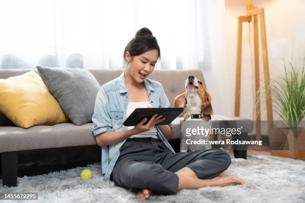 young asian woman doing leisure activities singing favorite song with love beagle dog relaxing in weekend at home - evasion fiscale stockfoto's en -beelden