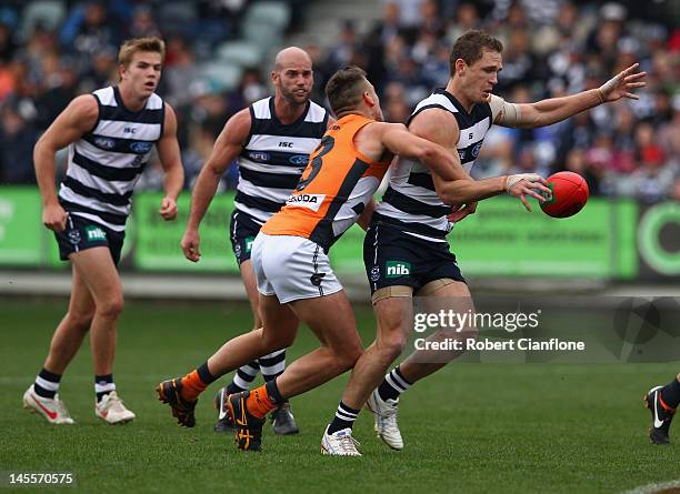 Joel Selwood of the Cats is challenged by Stephen Coniglio of the Giants during the round 10 AFL match between the Geelong Cats and the Greater...