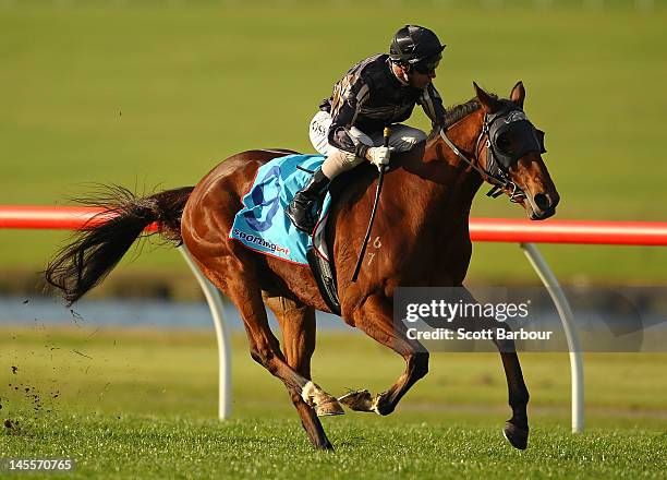 Jockey Glen Boss riding Mr O'Ceirin wins race 6 the Le Pine Funerals Plate during the Australian Hurdle and Steeple Day at Sandown Lakeside on June...