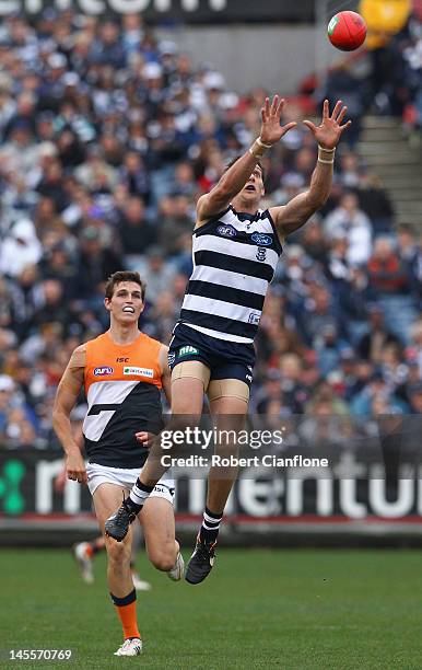 Harry Taylor of the Cats marks in front of Phil Davis of the Giants during the round 10 AFL match between the Geelong Cats and the Greater Western...
