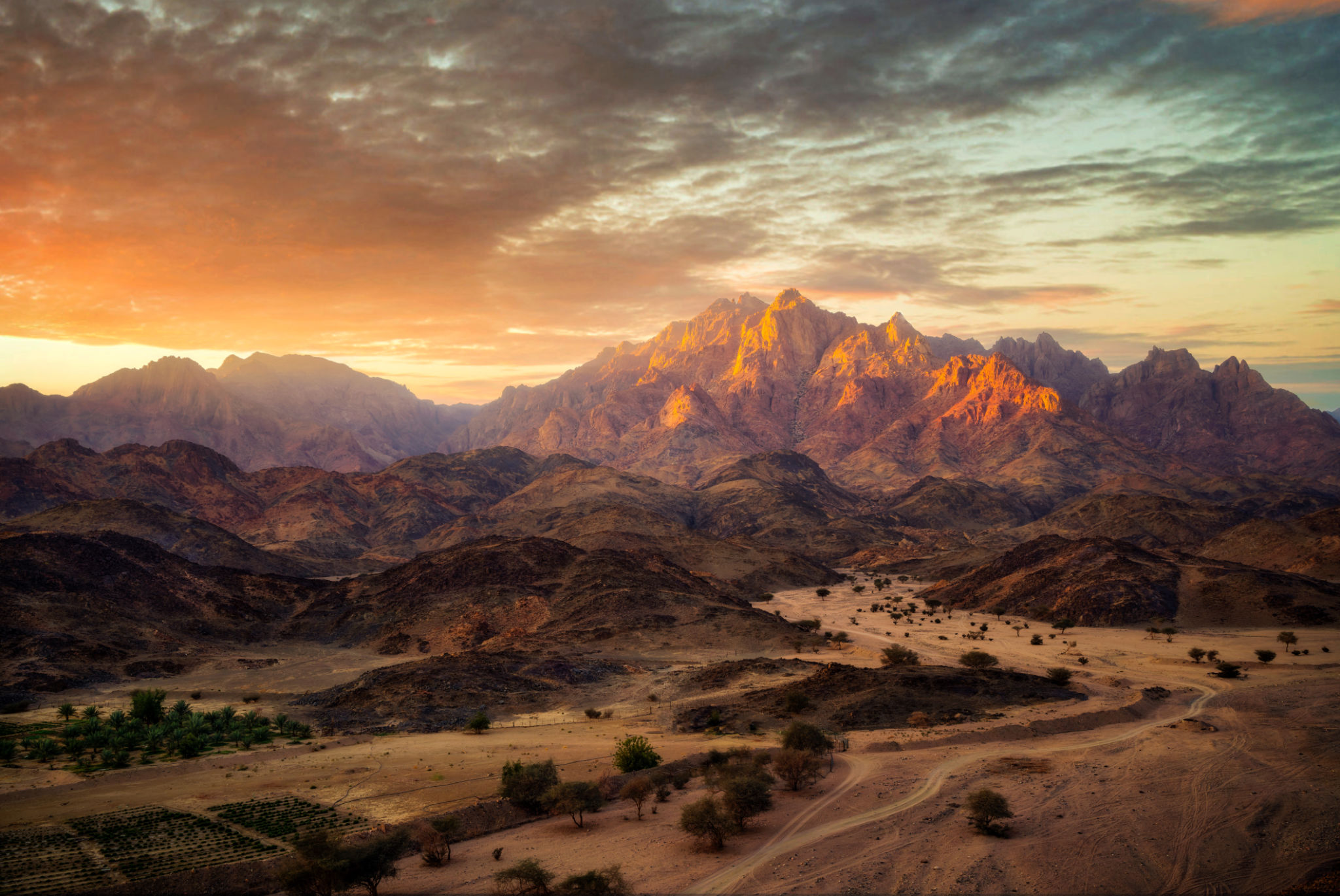saudi arabia landscape