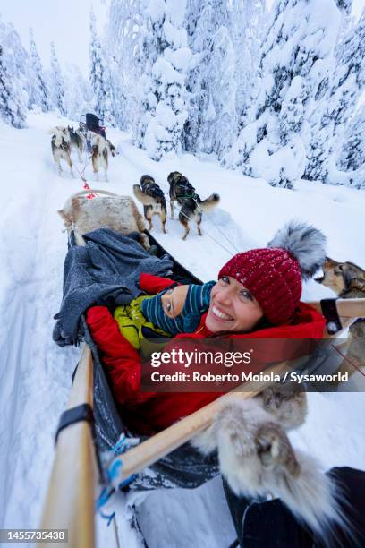 happy woman with son enjoying dog sledding - hondensleeën stockfoto's en -beelden