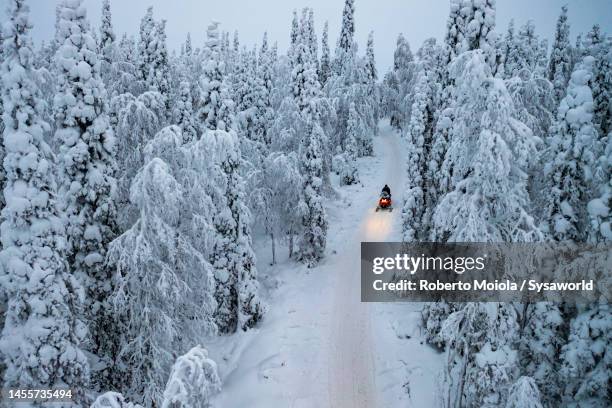hiker driving a snowmobile in the frozen forest - swedish lapland 個照片及圖片檔