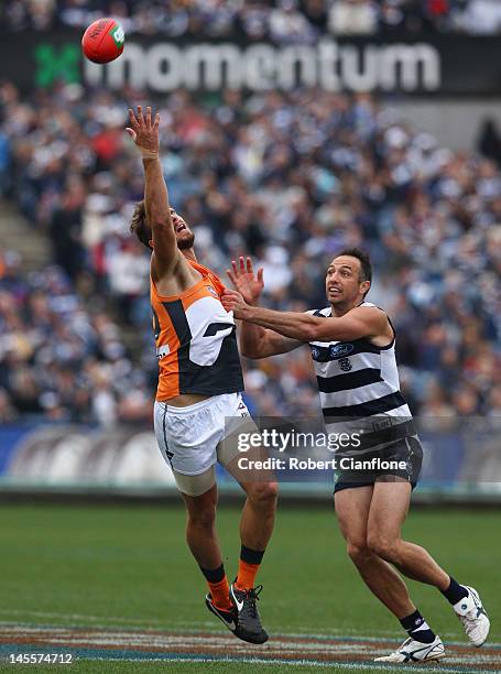 Tim Mohr of the Giants gets to the ball ahead of James Podsiadly of the Cats during the round 10 AFL match between the Geelong Cats and the Greater...