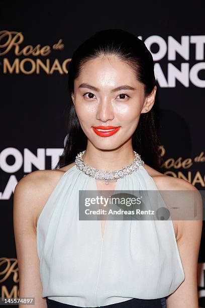 Bonnie Chen attends the Montblanc international gala to celebrate the official opening of its new and biggest concept store in the world at the...