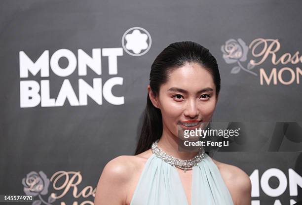 Bonnie Chen attends the Montblanc international gala to celebrate the official opening of its new and biggest concept store in the world at the...