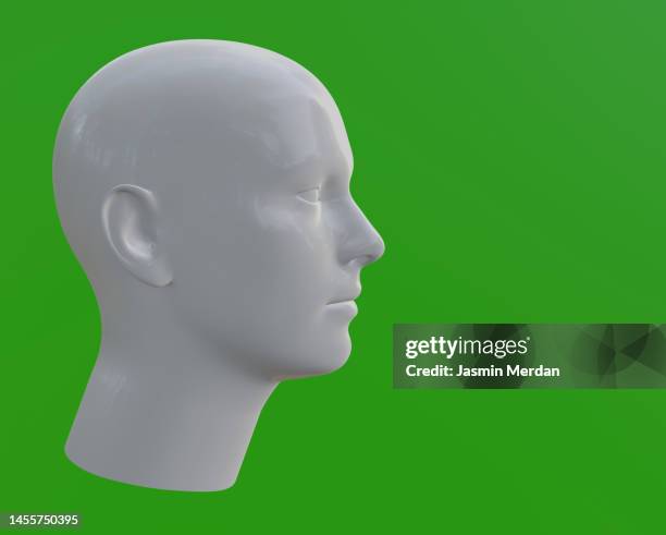 3d model of a human head on green screen - adobe icons imagens e fotografias de stock