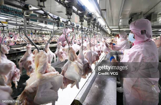 Employees work at a chicken processing and slaughtering factory of Shandong Millennium Agriculture And Animal Husbandry Development Co., Ltd on...