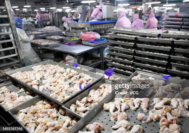 Poultry Process Worker Poultry Processing Plant Workers Photos and Premium High Res Pictures ...