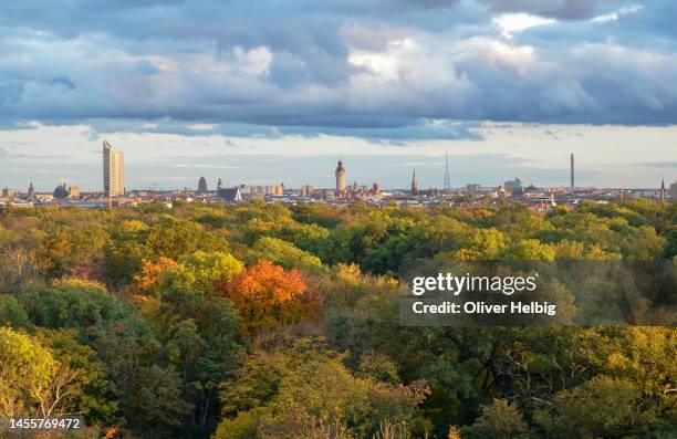 panoramic view over the auenwald with the skyline of leipzig - horizont stadt stock-fotos und bilder
