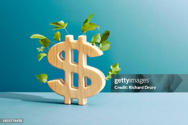 a us dollar symbol made of wood with leaves growing from it. - making money foto e immagini stock