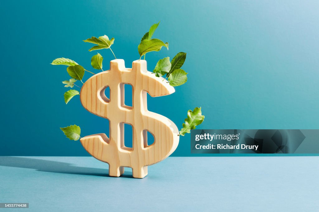 A US Dollar symbol made of wood with leaves growing from it.