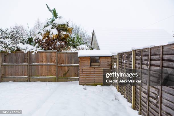 wooden garden shed in snow covered garden - wooden shed stock pictures, royalty-free photos & images