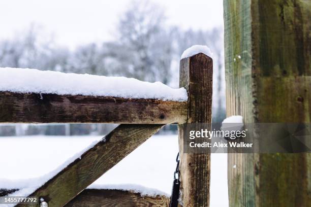 snow covered wooden gate in village - neige fraîche photos et images de collection