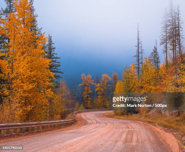 empty road amidst trees during autumn,helena,montana,united states,usa - helena montana ストックフォトと画像